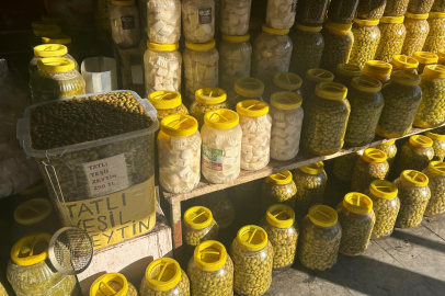 Turistler Antep Peynirini Bakın Neye Benzetti