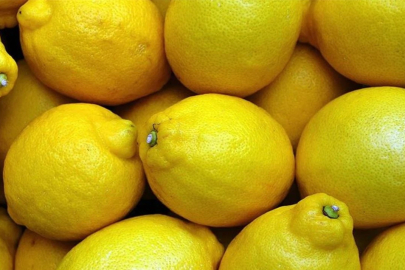 Limon İhracatı Askıya Alındı!
