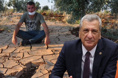 Hasan Öztürkmen: Çiftçi, sigortadan zararını karşılayamıyor