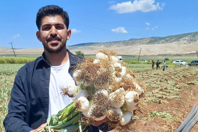 Genç Ziraat Mühendisinden Araban’a Katma Değer