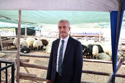TAHMAZOĞLU KURBAN FİYATLARINI AÇIKLADI