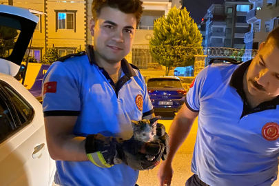Otomobilin Motor Bölümüne Sıkışan Kedi kurtarıldı