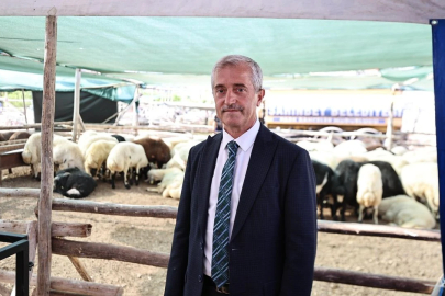 Şahinbey’de Uygun Fiyatlı Kurban Satışı Bu Yıl Hangi Noktada Olacak