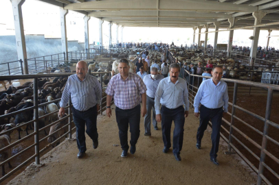 Gaziantep’te Kurban Bayramı Hazırlıkları Başladı