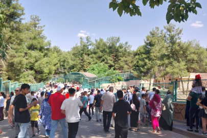 GAZİANTEP KURBAN BAYRAMI MESAİSİNİ YOĞUN ŞEKİLDE TAMAMLADI 
