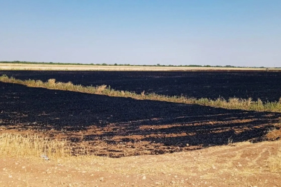 Gaziantep’te Anız Yangını: Çiftçilerden “Önlem Alın” Çağrısı