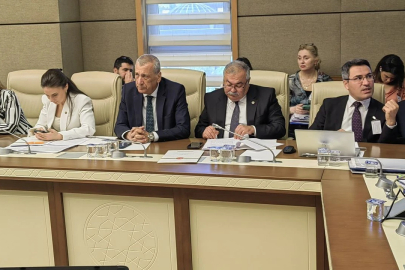 CHP’li Öztürkmen: “Zeytin Ağaçlarını Talana Açtırmayacağız”