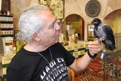 Gaziantep’te “Kara Şakir” İlgi Odağı Oldu