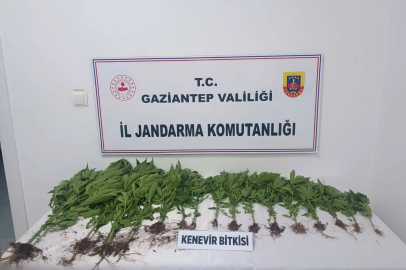 Gaziantep’te Uyuşturucu Operasyonu