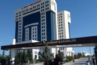 Gaziantep’te 33 Gıda Firması İfşa Edildi