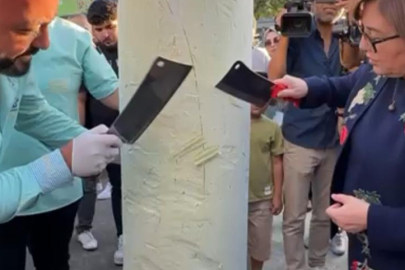 Gaziantep dondurması marka olmalı
