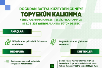 "Yerel Kalkınma Hamlesi Teşvik Programı'nı uygulamaya alıyoruz"