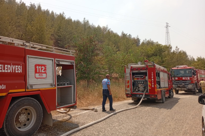  Nizip Belkız Köyü mesire alanında yangın