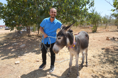 Annesi ölen eşeğe gözü gibi bakıyor