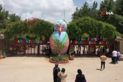 Gaziantep Doğal Yaşam Parkı’nda 8 ayda bir yılın rekoru kırıldı