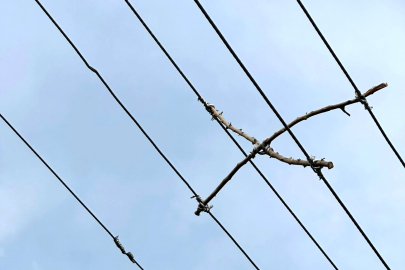 Festival Park Civarındaki Elektrik Kablolarına Tehlikeli Önlem