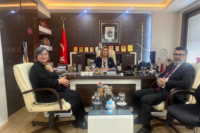 Gaziantep'te Önemli Panel: 'Sağlığa Eşit Erişim Hakkı' Tartışılacak