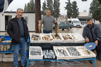 Araban’da Soğuk Hava Balık Tezgâhlarını Canlandırdı