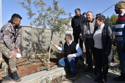 Antep Fıstığı ve Zeytinde Doğru Budama Teknikleri Anlatıldı