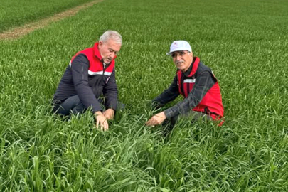Araban Ovası’nda Şiddetli Yağışın Tarıma Etkisi Araştırılıyor