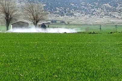 Sarı Pas Tehdidine Karşı Araban’da Harekete Geçildi