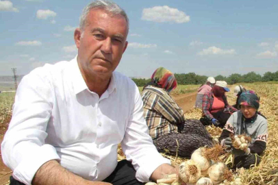 Araban Sarımsağı Dünya Listesinde 5. Sırada