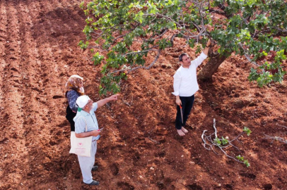 AK Parti Gaziantep Milletvekili Ali Şahin’den Dolu Felaketi Açıklaması