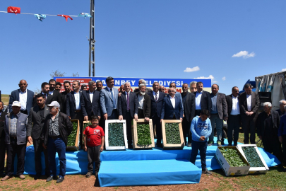 Şahinbey Belediyesi Çiftçilere Sertifikalı Fide Dağıttı