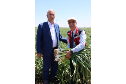 Tarım ve Orman Bakanlığı Araban Sarımsağını Sahada İnceledi