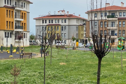 İSLAHİYE TOKİ’LERİNDE AĞAÇLAR 2 YILDIR KURUDU, YENİSİ DİKİLMEDİ