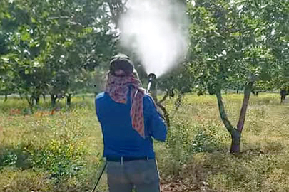 Araban’da Antepfıstığında İlaçlı Mücadele Başladı