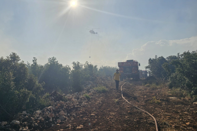 Gaziantep'te Orman Yangınına Havadan ve Karadan Müdahale