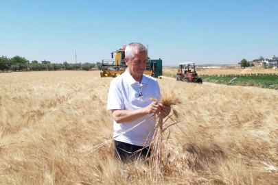 Şahinbey Belediyesi'nin Tarım Desteği Meyvesini Verdi