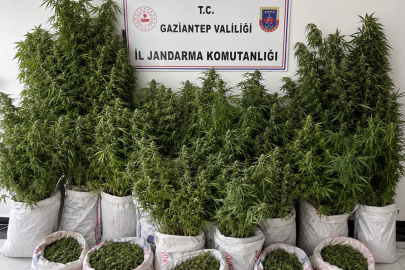Gaziantep'te Uyuşturucu ve Kaçakçılık Operasyonlarında 46 Kişi Tutuklandı