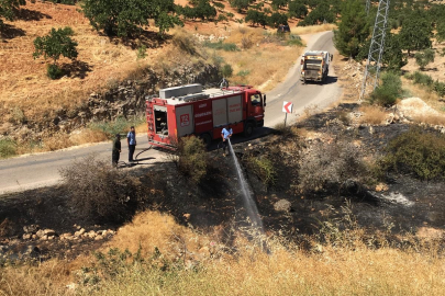 Fıstık Tarlasındaki Yangın Can Kaybına Neden Oldu