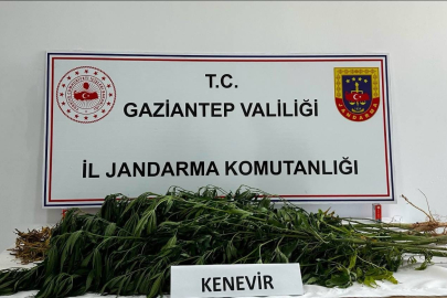 Jandarmadan Uyuşturucu Tacirlerine Darbe