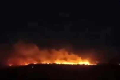 Gaziantep'te Korkutan Orman Yangını
