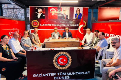 Bozgeyik: "Türkiye'nin Birlik Ruhunu Bu Festivalde Bir Kez Daha Gördük"