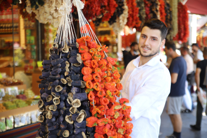 Gaziantep’te Kurutmalık Sezonu Açıldı