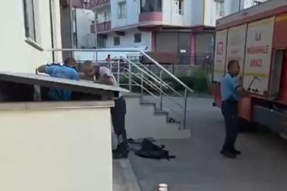 Yavru Kedi İçin Seferberlik! Anne Kedi Kurtarma Anını Böyle İzledi