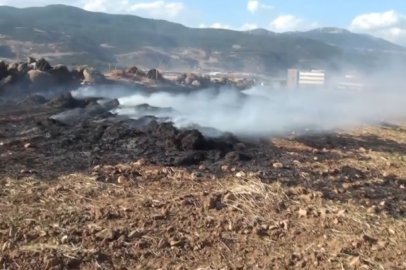 İslahiye'de Anız Yangını Kontrol Altına Alındı