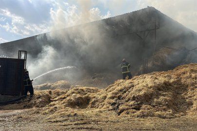 Gaziantep’te Çiftlikte Yangın Paniği!