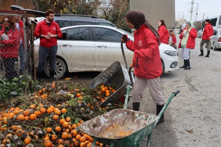 46 şehirden gelen 200 gönüllü enkaz kentte narenciye hasadında